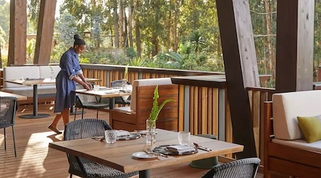 One & Only Gorilla's Nest Luxury Jungle Resort